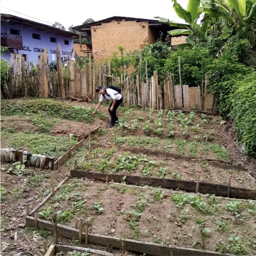 Peru, Associacion Cafe del Futuro, Coffee Project, Peru Coffee