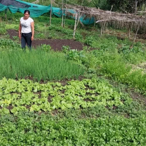 Peru Asociacíon Café del Futuro, Home Vegetable Gardens, Coffee Farmer