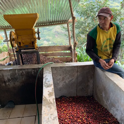 Peru Asociacíon Café del Futuro, Coffee Project, Coffee Peru