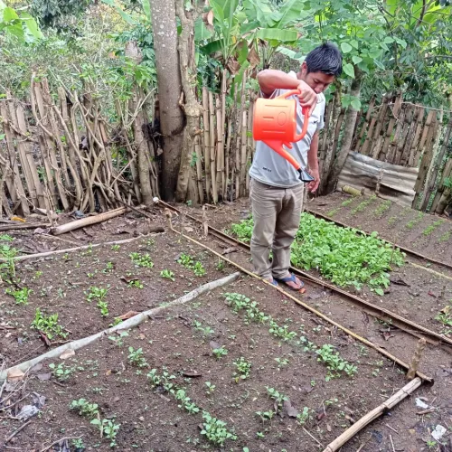 Peru Asociacíon Café del Futuro, Home Vegetable Gardens, Coffee Farmer