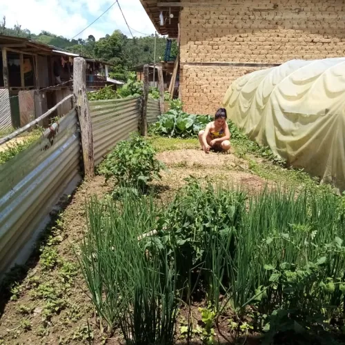 Peru Asociacíon Café del Futuro, Home Vegetable Gardens, Coffee Farmer