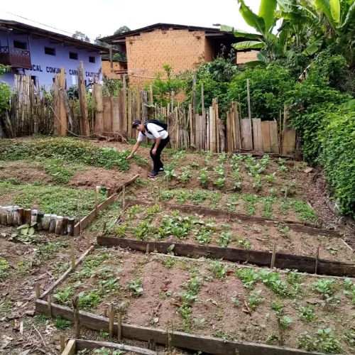 Peru Asociacíon Café del Futuro, Home Vegetable Gardens, Coffee Farmer