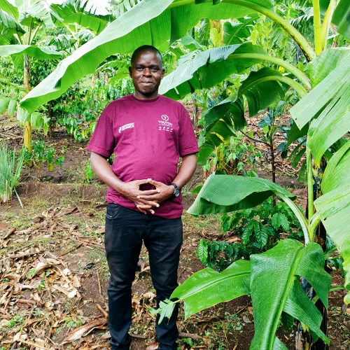 Uganda, Coffee Uganda, Uganda Kasese, Coffee Cherry, Touton Specialties Coffee