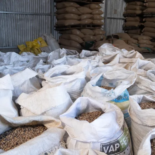 Touton Specialties Coffee_Costa Rica_Cordillera de Fuego