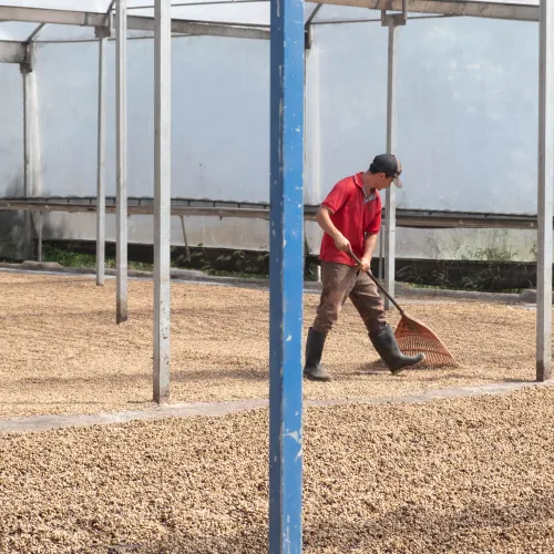 Touton Specialties Coffee_Costa Rica_Cordillera de Fuego