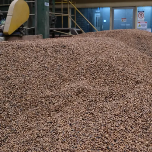 Touton Specialties Coffee_Costa Rica