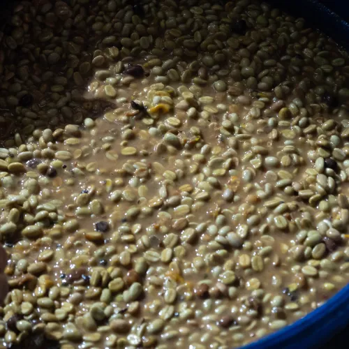 Touton Specialties Coffee_Colombia