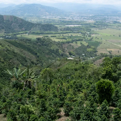 Touton Specialties_Colombia