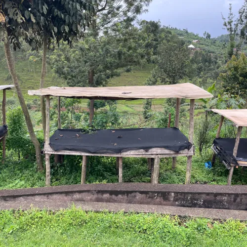 Rwanda Abakundakawa Washing Station, Rwanda Coffee, Rwanda Coffee Washing Station, Coffee Drying Beds, Composting Module