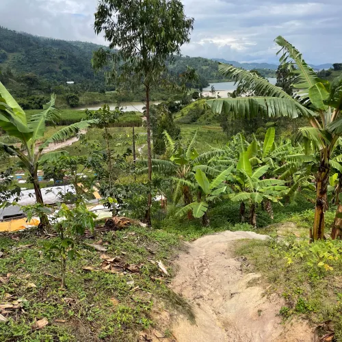 Rwanda, Hobe Estate, Coffee Farm, Coffee Washing Station, Coffee Plantation, Coffee Tree, Coffee Cherry, Touton Specialties Coffee