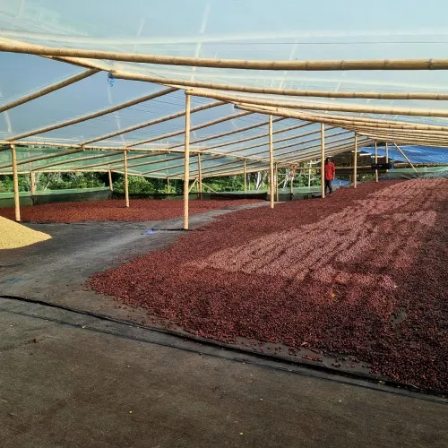 Touton Specialties Coffee_Colombia