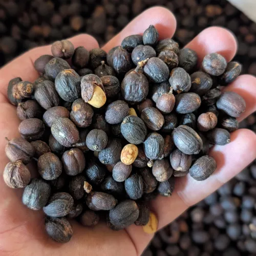 Touton Specialties Coffee_Honduras_Farm Cascaritas