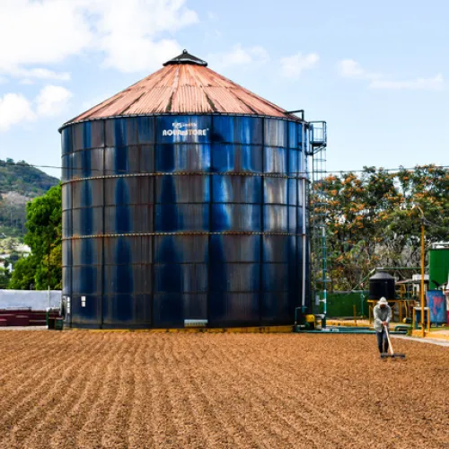 Touton Specialties Coffee_Costa Rica