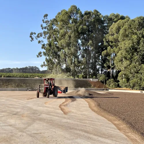 Brazil, Fazenda Rio Brilhante, Coffee Plantation, Bazil Coffee Trees, Mechanical Harvest, Coffee Cherries, Coffee Drying, Coffee Beans, Touton Specialties Coffee