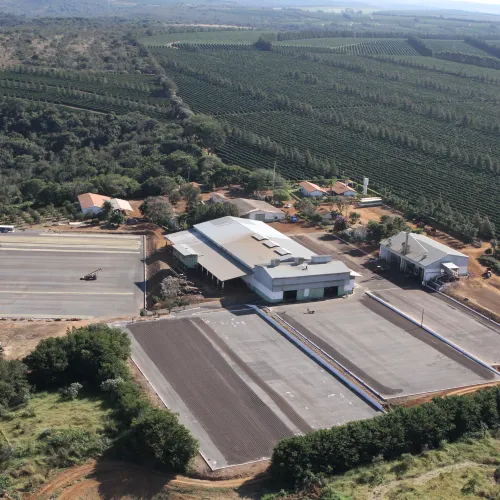 Brazil, Fazenda Rio Brilhante, Coffee Plantation, Bazil Coffee Trees, Mechanical Harvest, Coffee Cherries, Touton Specialties Coffee