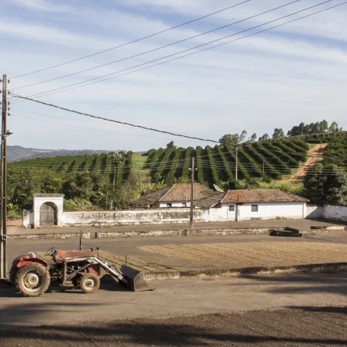 Brazil, Brazil Coffee Farm, Fazenda Sao Jose, Touton Specialties Coffee