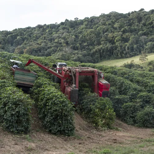 Brazil, Brazil Coffee Farm, Fazenda Sao Jose, Touton Specialties Coffee