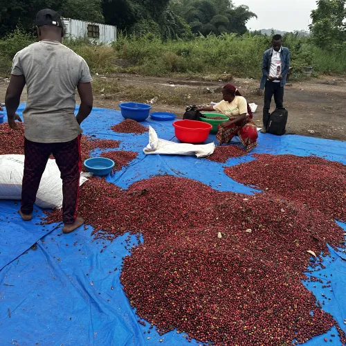 Touton Specialties_Congo