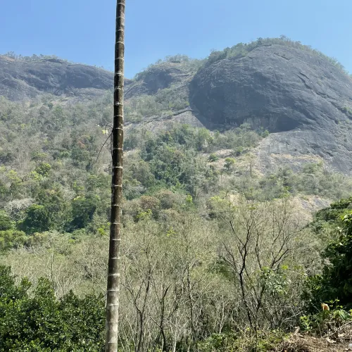 India, Mass, Kerala
