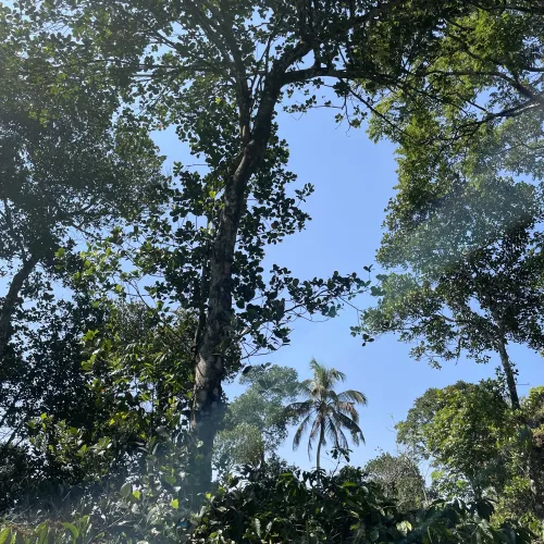 India, Mass, Keralla