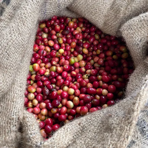 Ruanda, Abakundakawa, Coffee Cherries, Coffe Bag