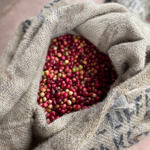 Ruanda, Abakundakawa, Cherrys, Bag