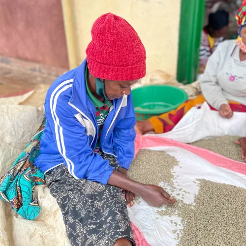 Rwanda, Abakundakawa Washing Station, Rwanda Coffee, Specialty Coffee, Touton Specialty Coffee