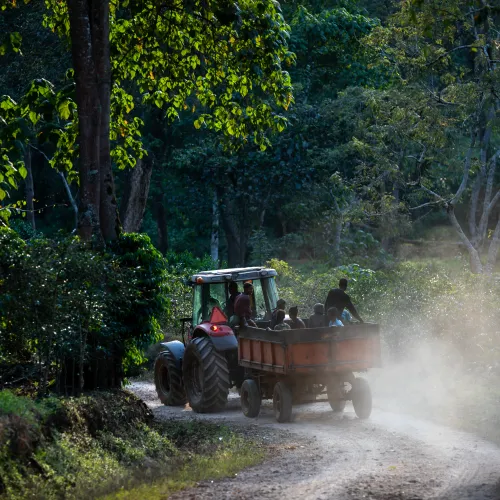 Tega Tula, Ethiopia, Coffee Ethiopia, Specialty Coffee, Touton Specialty