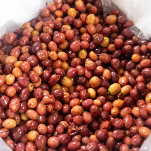 Touton Specialties Colombia Huila Coffee Elkin Guzman Co-Fermented