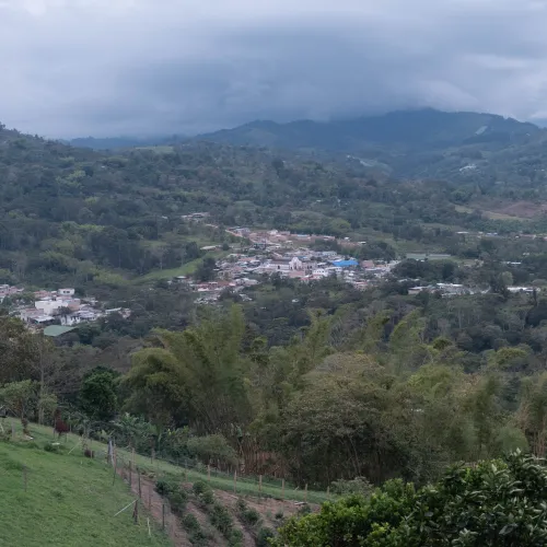 Touton Specialties Colombia Huila Coffee Elkin Guzman Co-Fermented