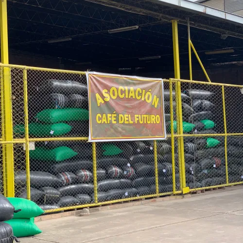Cafe del Futuro