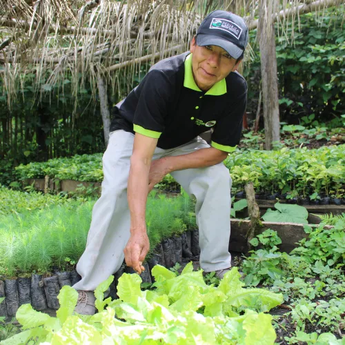 Peru, Coffee, Coffee Farmer Peru, Vegetable Home Gardens, Coffee Project, Touton Specialty Coffee
