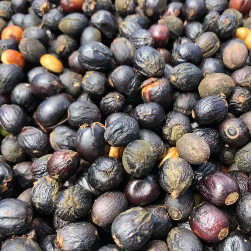 natural drying