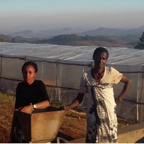 Tanzania_WomenProject_