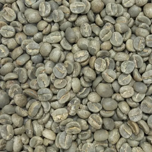 Tanzania Malolo Women Project Green Coffee