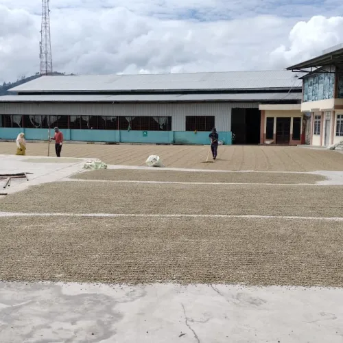Sumatra