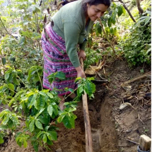 Guatemala_Mancomunidades_