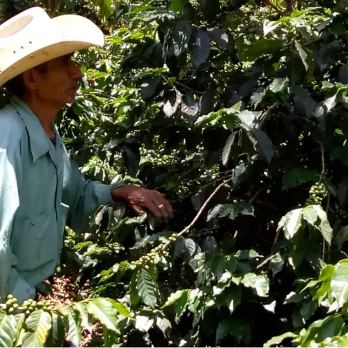Guatemala_Mancomunidades_