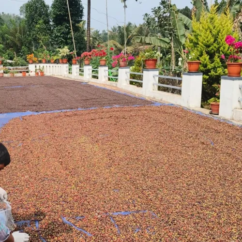 India_Kerala_Biowin_