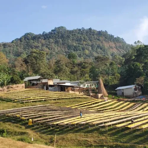 Ethiopia_Nensebo_