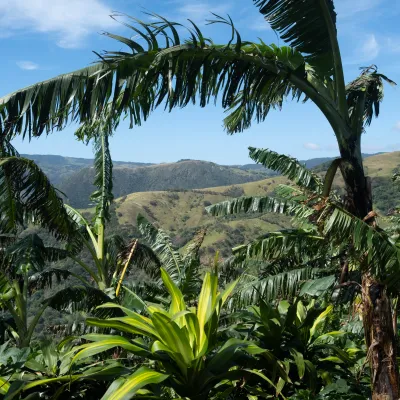 Touton Specialties Coffee_Costa Rica_Cordillera de Fuego