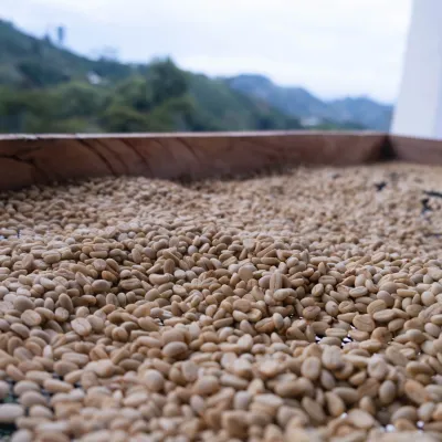 Touton Specialties Coffee_Colombia