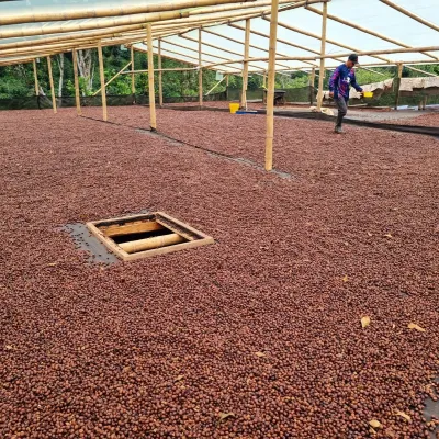 Touton Specialties Coffee_Colombia
