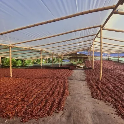 Touton Specialties Coffee_Colombia