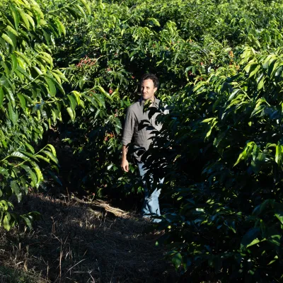 Touton Specialties_Costa Rica_Volcan Azul