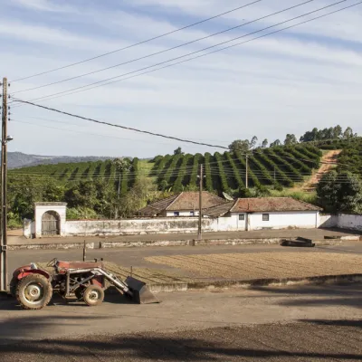 Brazil, Brazil Coffee Farm, Fazenda Sao Jose, Touton Specialties Coffee