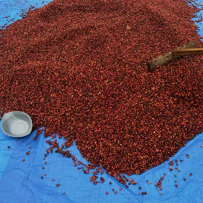 Touton Specialties_Congo