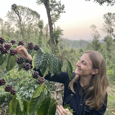 Coffee, India, Coffee Cherry, Coffee Plantation, Indian Coffee
