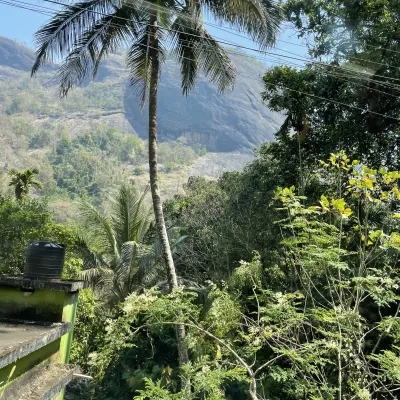 India, Keralla; P11499