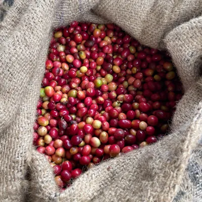 Ruanda, Abakundakawa, Coffee Cherries, Coffe Bag